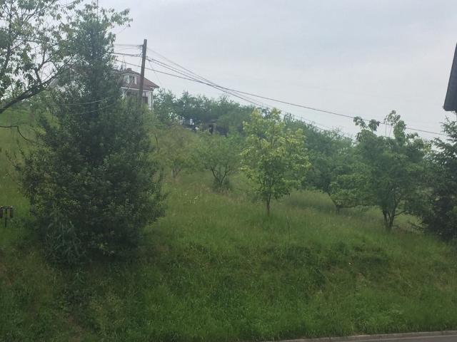 Terreno en venta en Cangas De Onís, Asturias