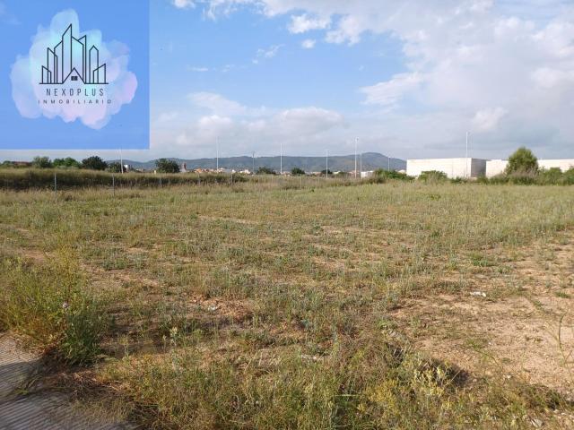 Terreno en venta en la Ribera Alta, Valencia
