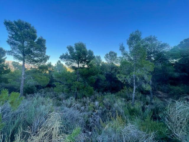 Terreno en venta en la Marina Baixa, Valencia