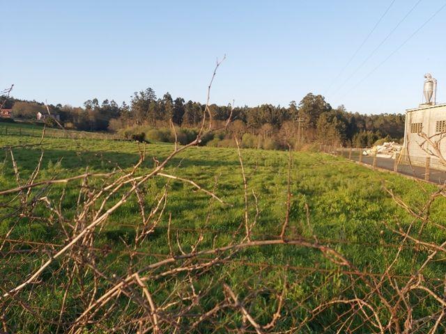 Terreno en venta en Oza, Santiago