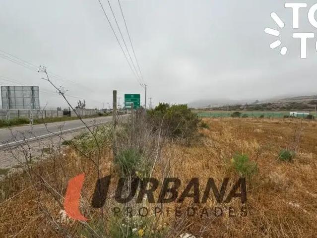 Terreno en venta en Paiguano, Coquimbo