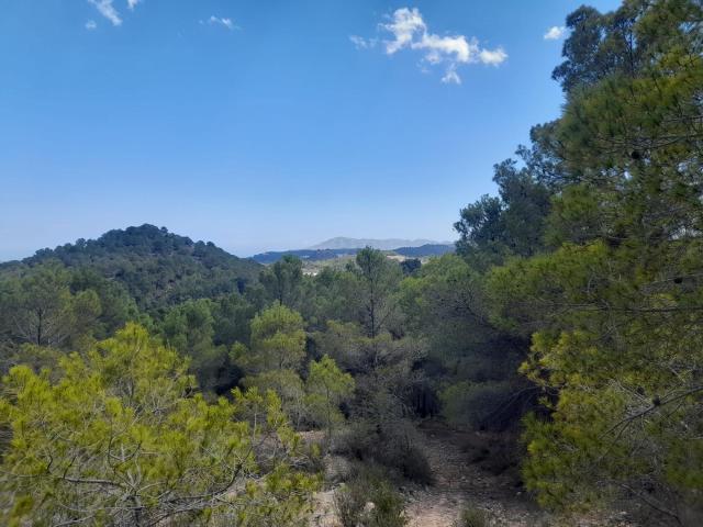 Terreno en venta en Polop, Alacant / Alicante