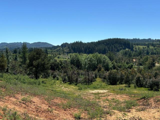 Terreno en venta en Yumbel, Biobío