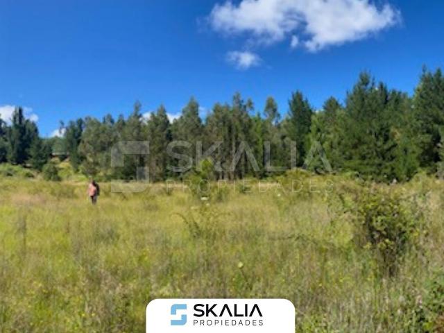 Terreno en venta en Yumbel, Biobío
