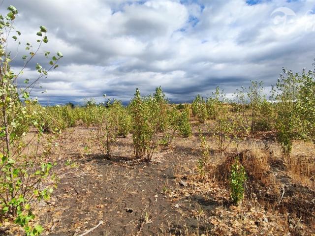 Terreno en venta en Campanario, Yungay