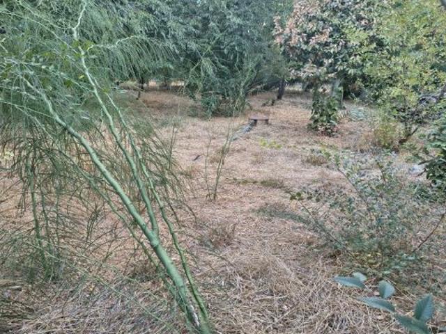 Local Comercial en venta en Gerena, Andalucía
