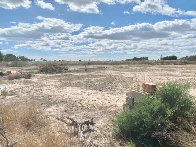 Terreno en alquiler en Elche, Els Palmerars