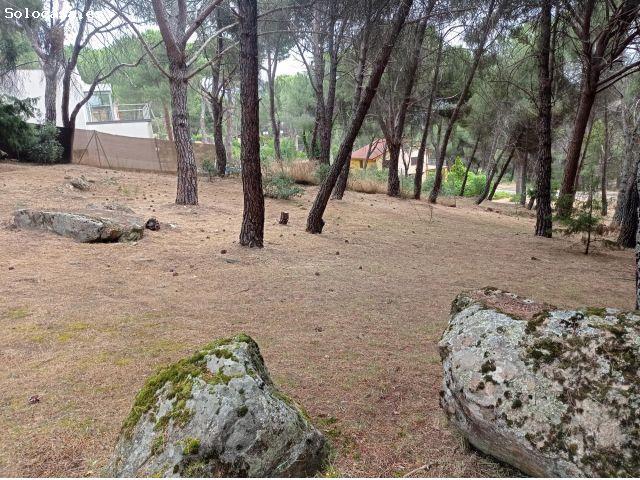 Local Comercial en venta en Costa de Madrid, San Martín De Valdeiglesias