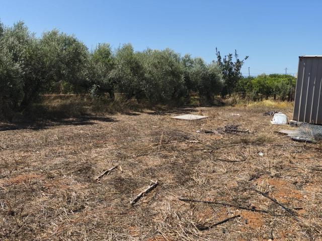 Terreno en venta en Castelló de la Plana / Castellón de la Plana, Castelló / Castellón