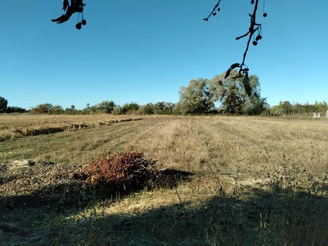 Parcela en Ñiquén