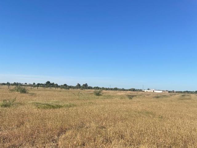 Parcela en Ñiquén