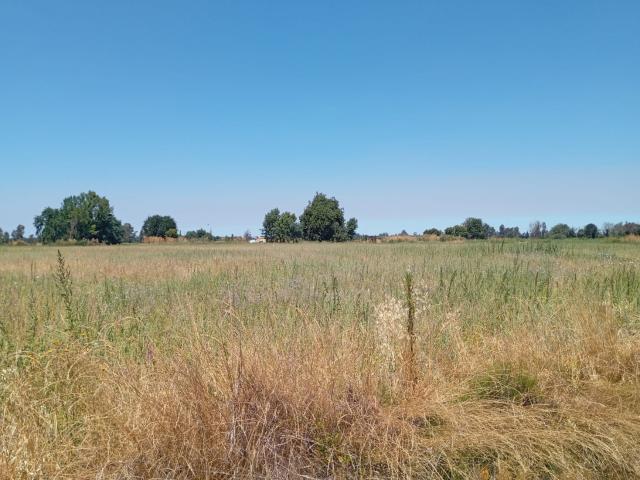Parcela en Ñiquén