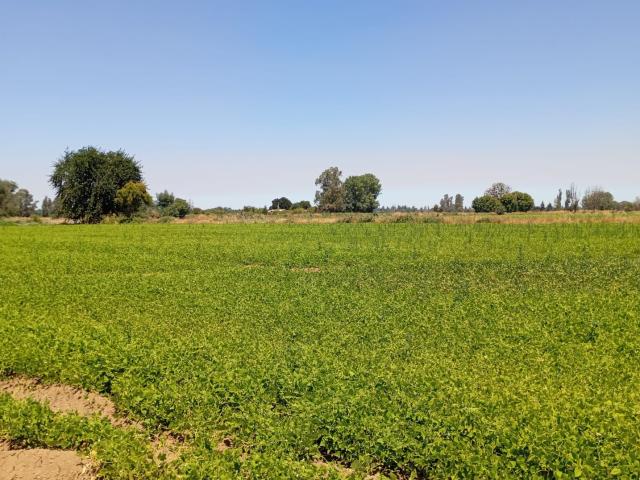 Parcela en Ñiquén