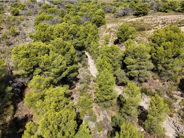 Terreno en alquiler en Esparragal, Área Metropolitana de Murcia