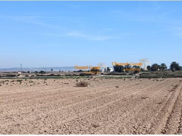 Local Comercial en venta en la Marina, el Baix Vinalopó