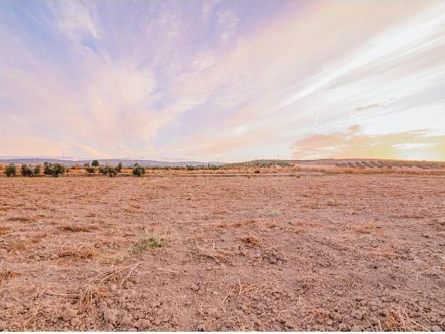 Local Comercial en venta en Comarca de Alhama, Andalucía
