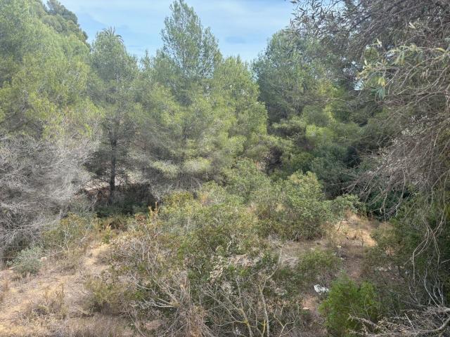Terreno en venta en Benissa, el Baladrar-Punta Estrella