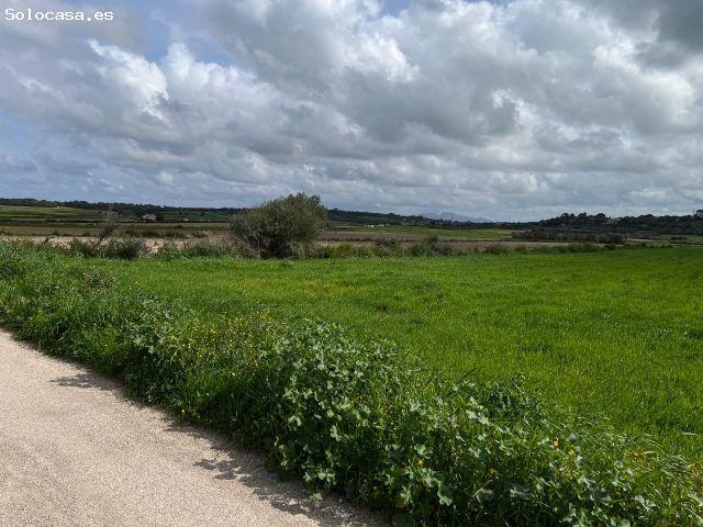 Local Comercial en venta en Pla de Mallorca, Baleares