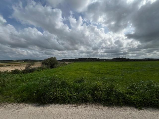 Terreno en venta en Pla de Mallorca, Baleares