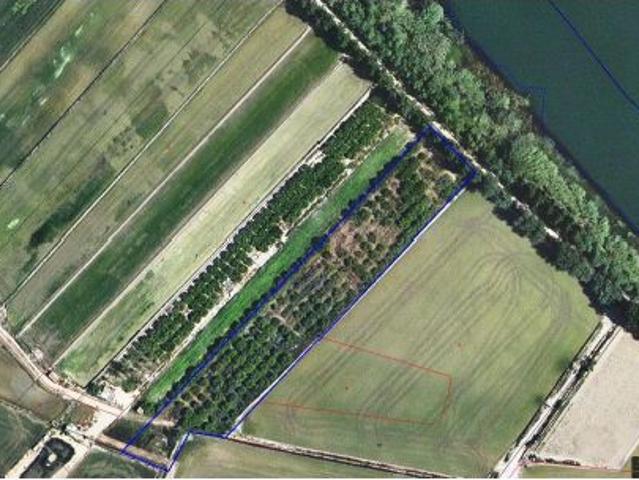 Local Comercial en venta en Montsià, Catalunya