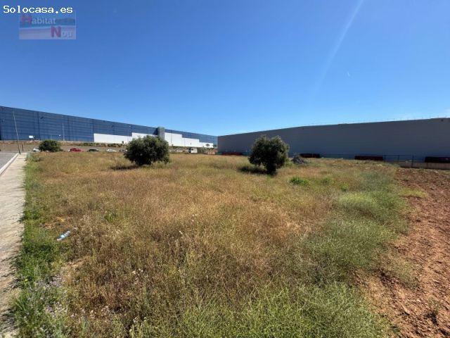 Local Comercial en venta en Baix Penedès, Catalunya