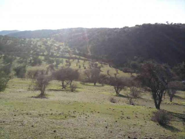 parcela lomaje 4,5 hect. factibilidad luz a 25 minutos de melipilla