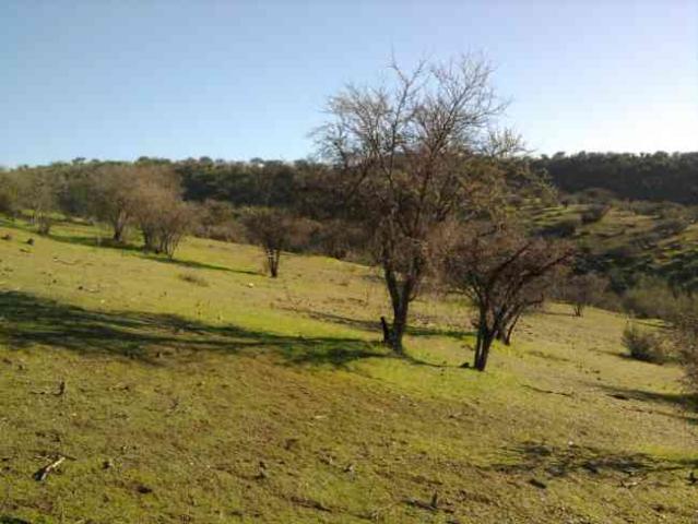 parcela lomaje 4,5 hect. factibilidad luz a 25 minutos de melipilla