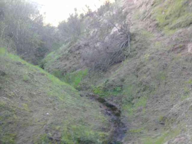 parcela lomaje 4,5 hect. factibilidad luz a 25 minutos de melipilla