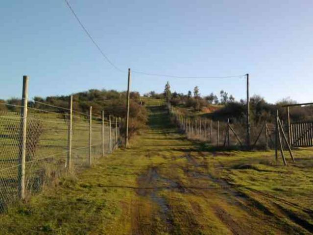 parcela lomaje 4,5 hect. factibilidad luz a 25 minutos de melipilla