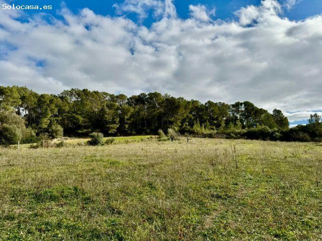 Local Comercial en venta en Pla de Mallorca, Baleares
