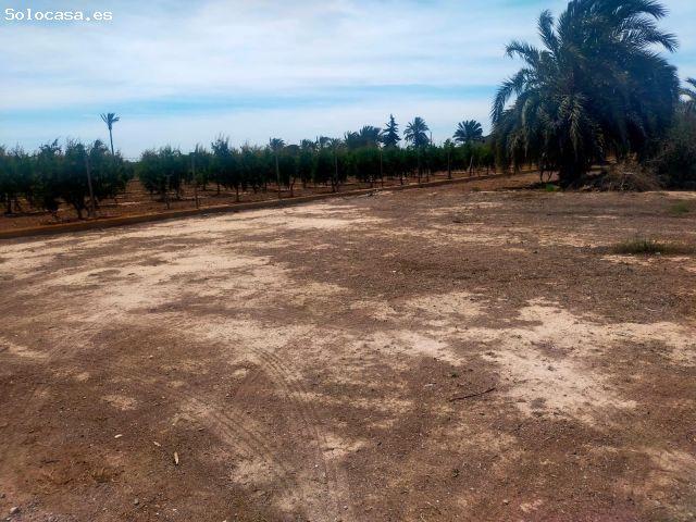Local Comercial en venta en Elche De La Sierra, Castilla-La Mancha