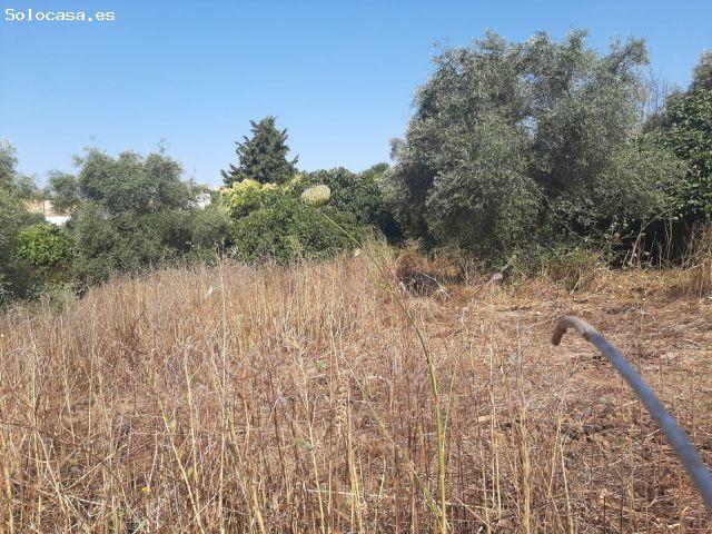 Local Comercial en venta en Casas De Don Antonio, Extremadura