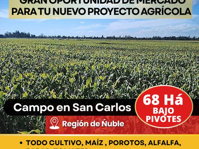 Terreno en arriendo en Ñuble