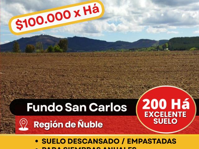 Terreno en arriendo en Ñuble