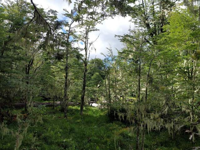 Terreno en venta en Punta Arenas, Magallanes Y De La Antártica Chilena