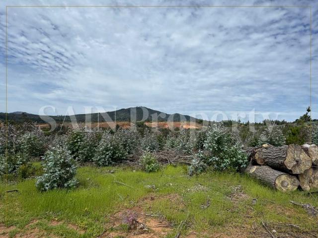 Terreno en venta en Florida, Biobío