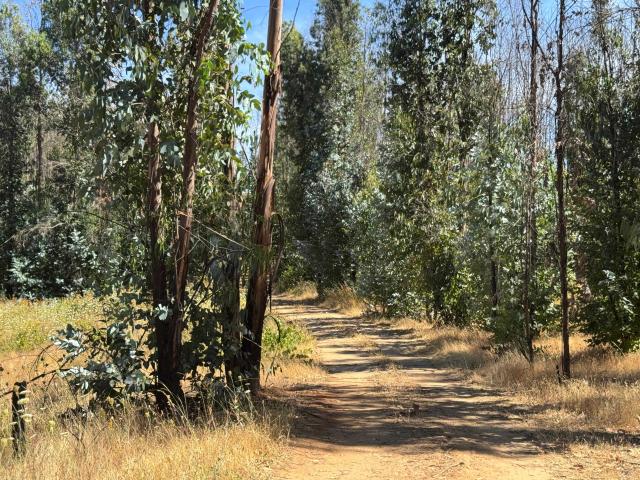 Terreno en venta en Biobío