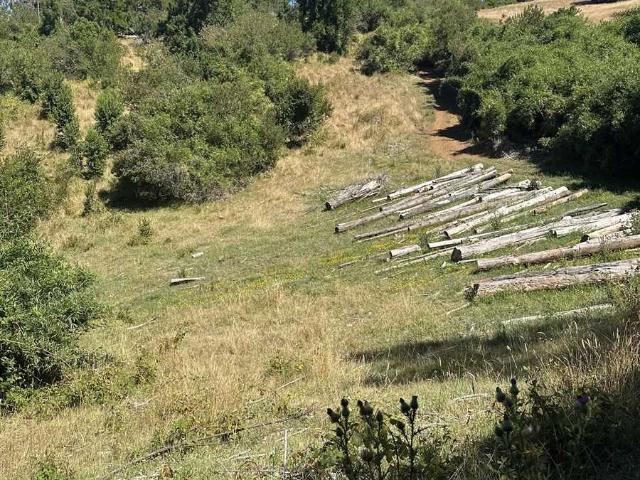 Terreno en venta en Teodoro Schmidt, La Araucanía