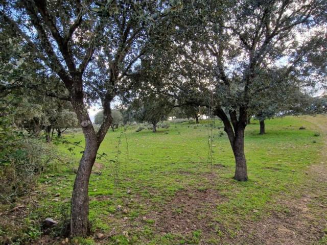 Terreno en venta en Ciudad Rodrigo, Castilla y León