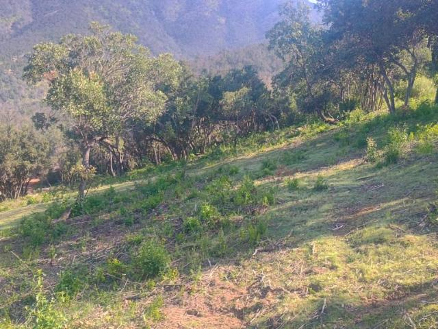 Terreno en venta en Condominio El Belloto, Paine
