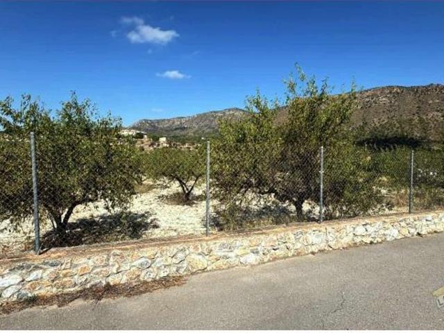 Local Comercial en venta en Rambla de Benito, Vega Alta del Segura
