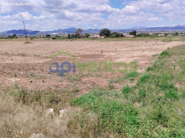 Local Comercial en venta en La Alcanara y Los Bucanos, Alto Guadalentín