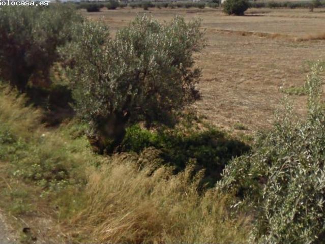 Local Comercial en venta en El Molinillo, Alto Guadalentín