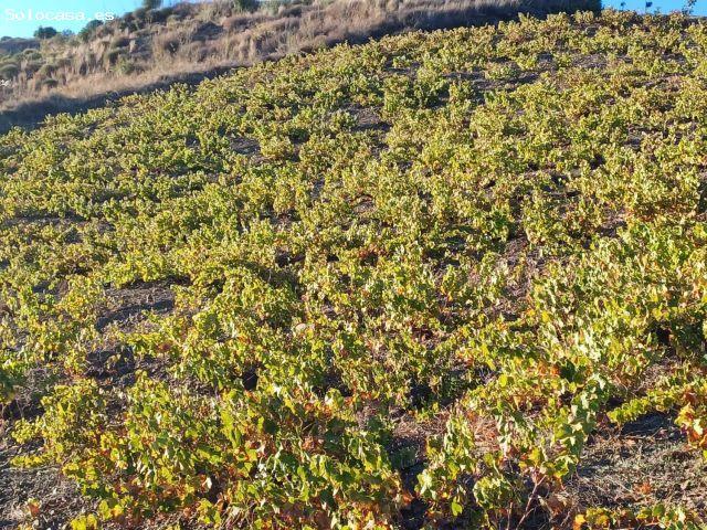 Local Comercial en venta en La Axarquía, Andalucía