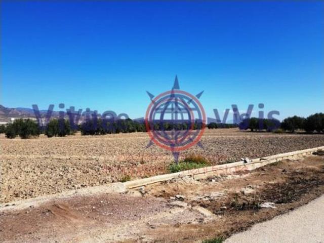 Local Comercial en venta en Los Abades y las Norias, Alto Guadalentín