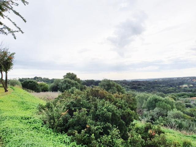 Terreno en venta en Torreguadiaro, Campo de Gibraltar