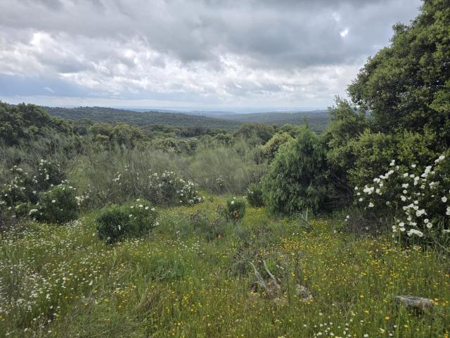 Terreno en venta en Valdemorillo