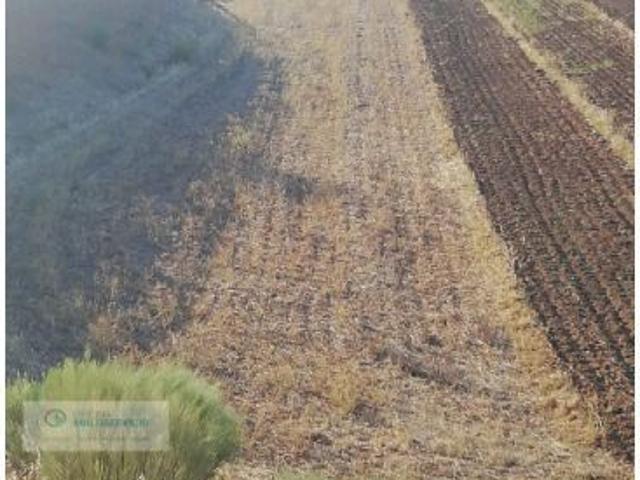 Local Comercial en venta en Magacela, Extremadura