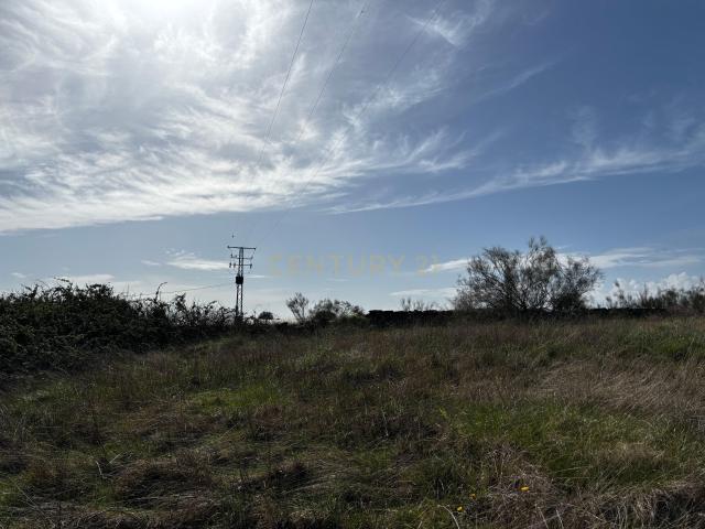 Terreno en venta en Guijo De Coria, Extremadura