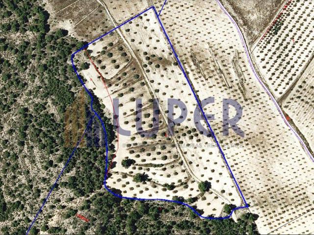 Terreno en alquiler en Elda, Prosperidad Terreno en alquiler en Elda, Prosperidad